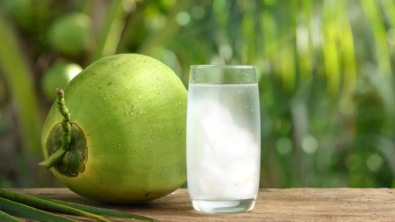 Can You Drink Coconut Water Before a Colonoscopy - TrustCoconut